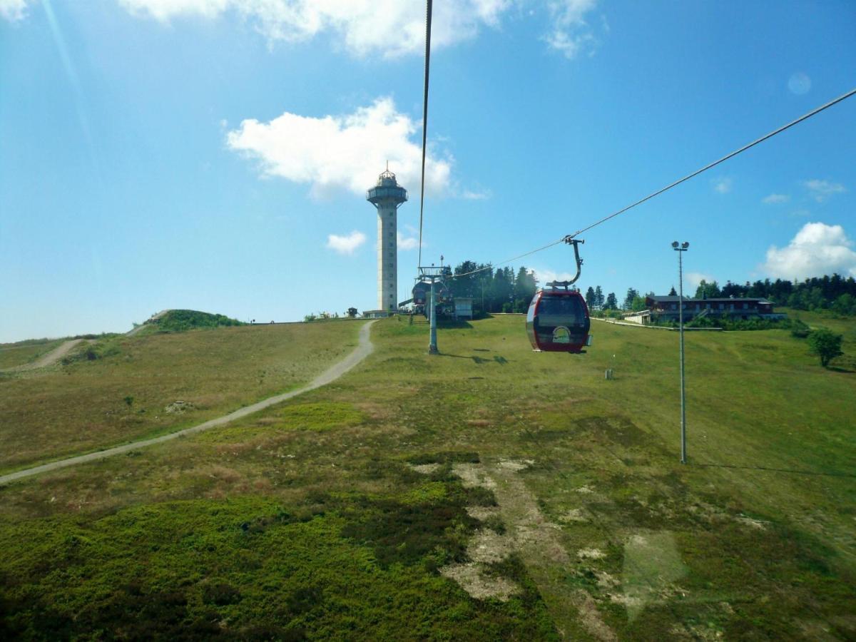 M Am Kurpark**** Inkl. Meinecard+ * Willingen (Upland)